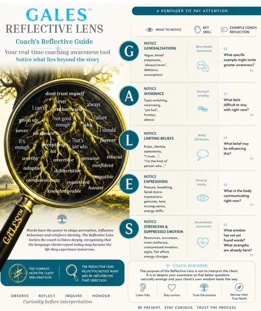 The GALES Reflective Lens, an evolving practitioner discipline